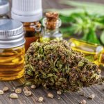 Medical Cannabis, Chronic Pain, and the Placebo Effect